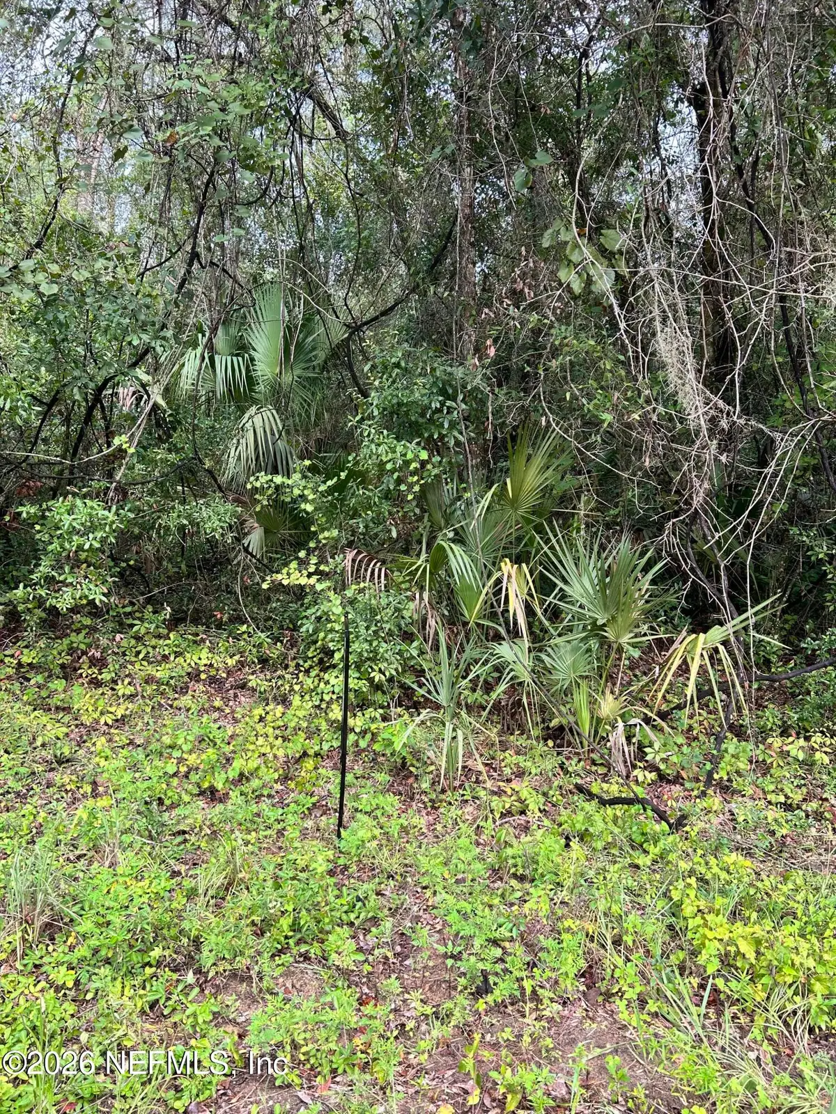 0 Annette Avenue, Interlachen, FL 32148 - #1