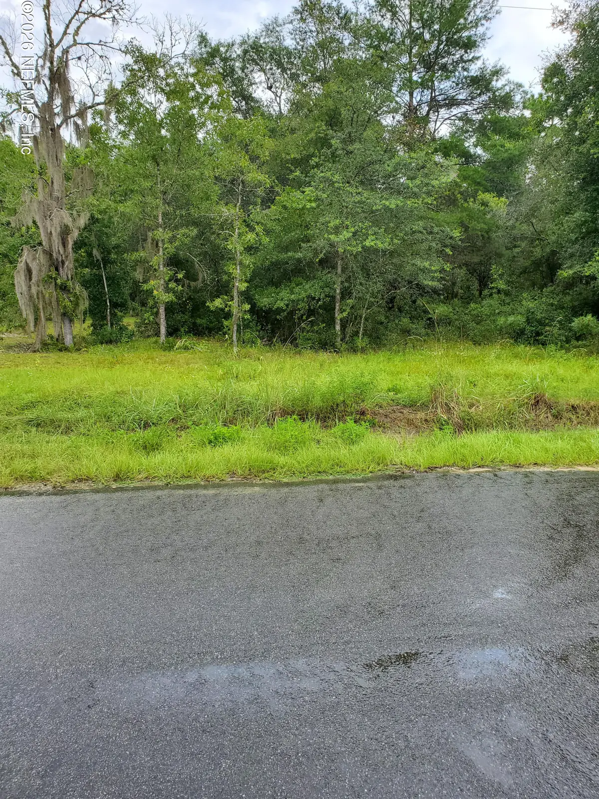 507 Kitty Avenue, Interlachen, FL 32148 - #1