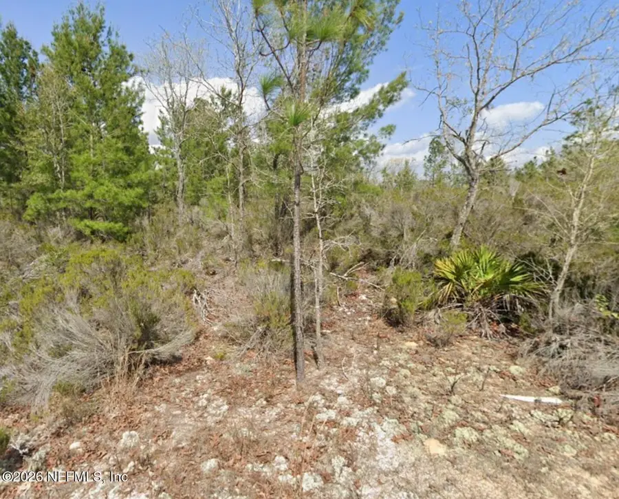 0 Somerset Avenue, Interlachen, FL 32148 - #2