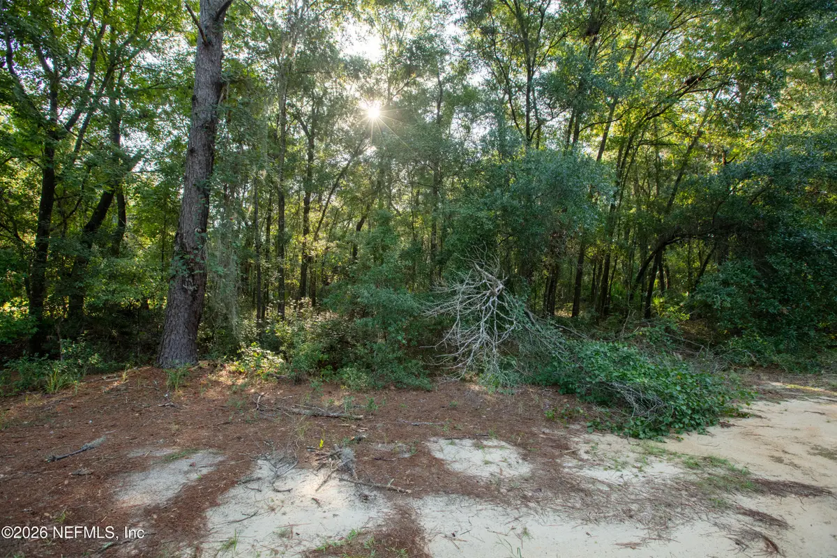 0 Boots Road, Melrose, FL 32666 - #1