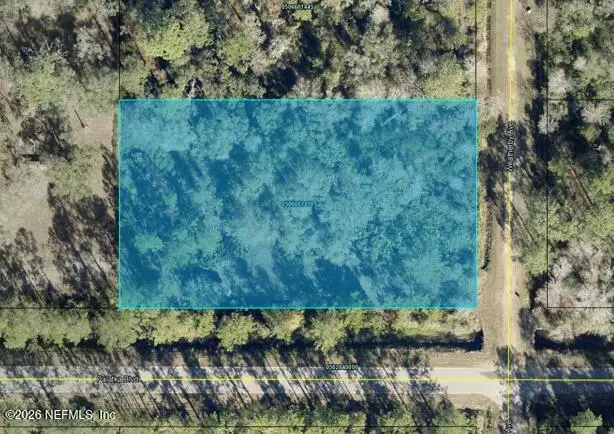 10575 Weatherby Avenue, Hastings, FL 32145 - #1