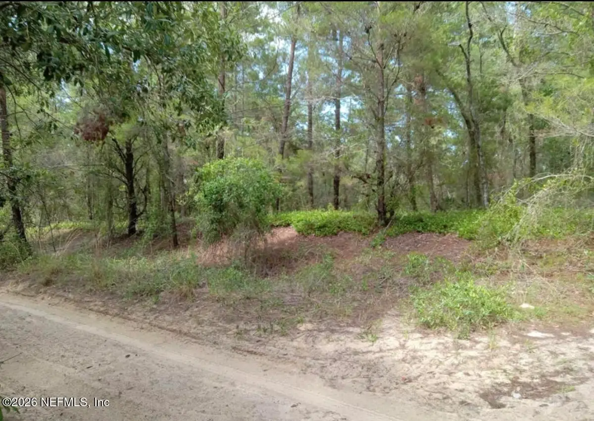 0 Orange Blossom Street, Pomona Park, FL 32112 - #1