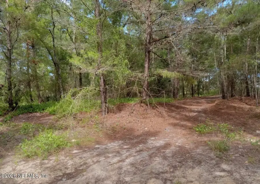 0 Orange Blossom Street, Pomona Park, FL 32112 - #2