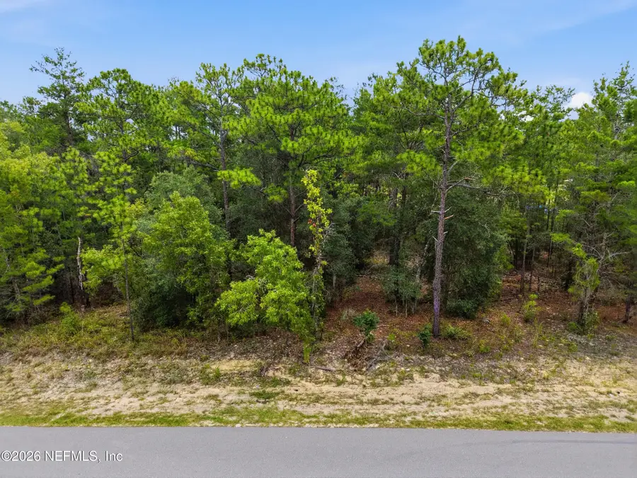 7071 Clemson Street, Keystone Heights, FL 32656 - #2