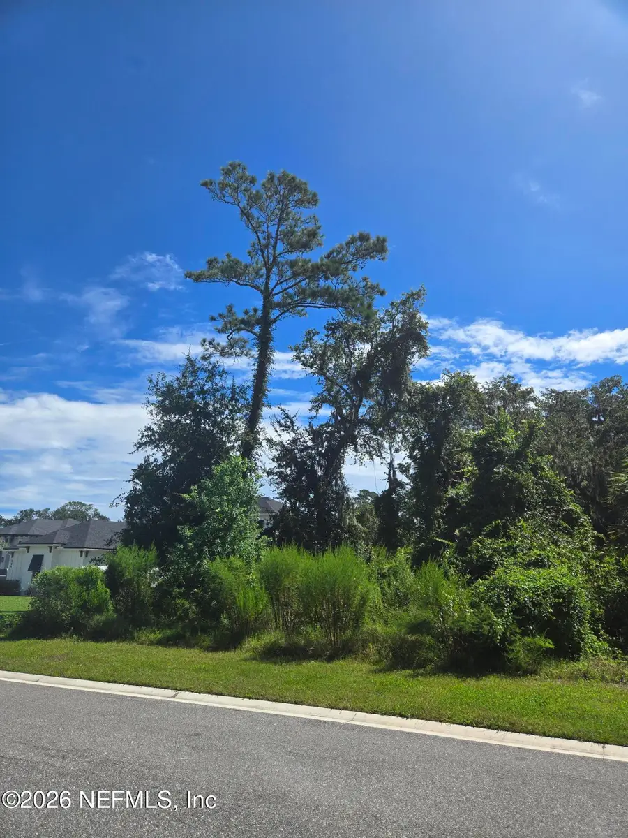 208 Canopy Hall Drive, Saint Augustine, FL 32095 - #3