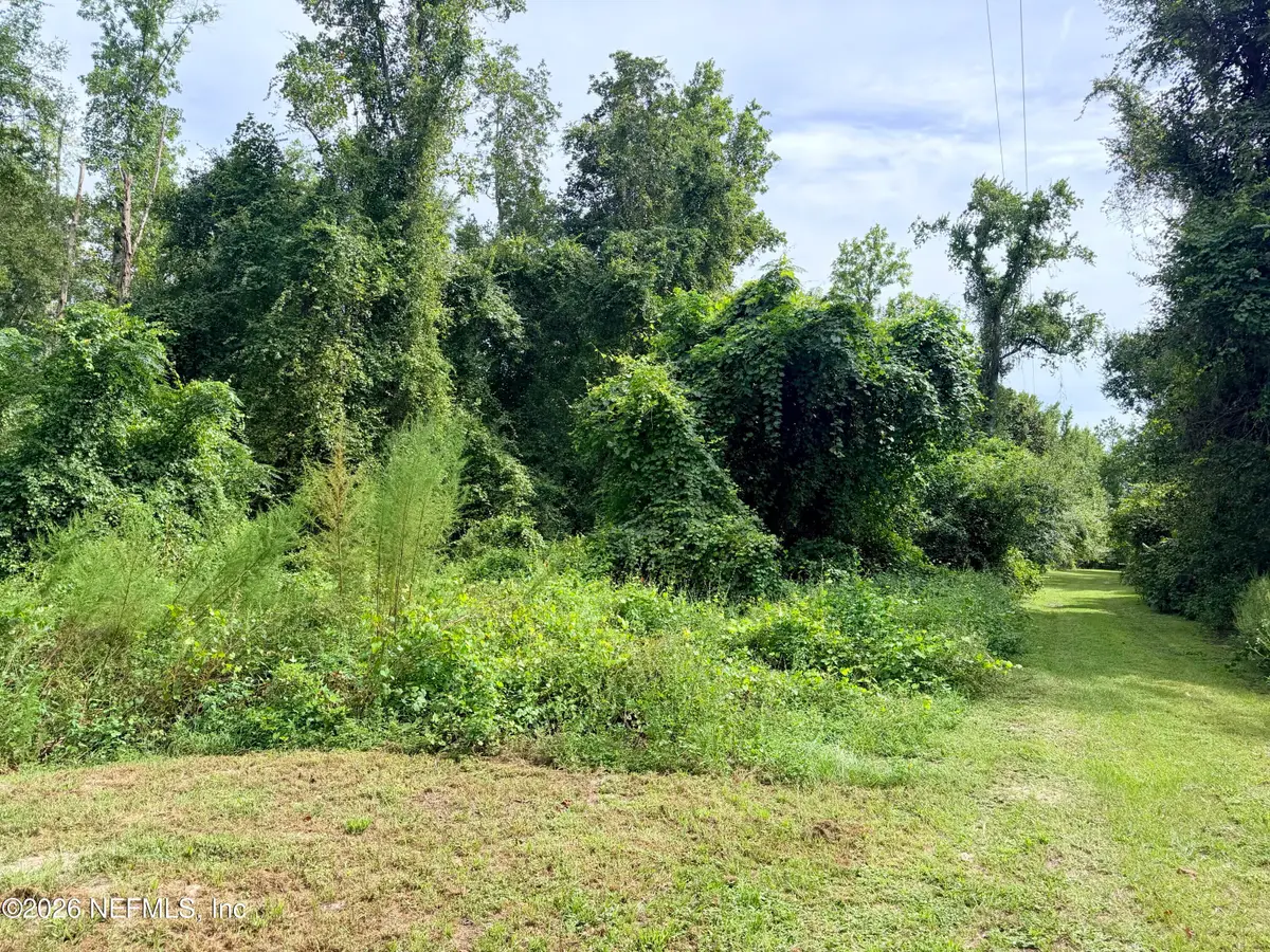 0 S Carl Brown Road, Sanderson, FL 32087 - #1