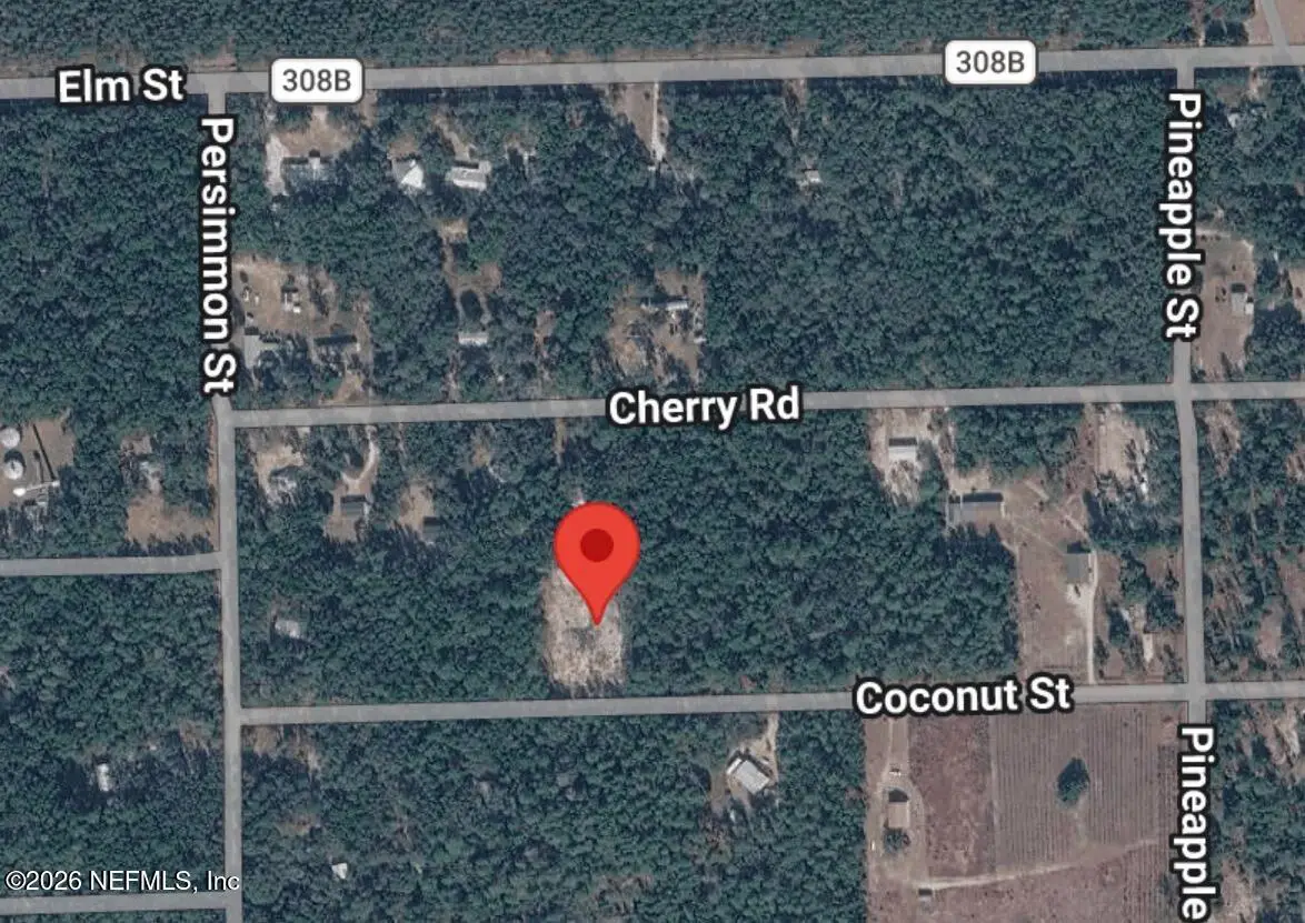 116 Coconut Street, Pomona Park, FL 32181 - #1