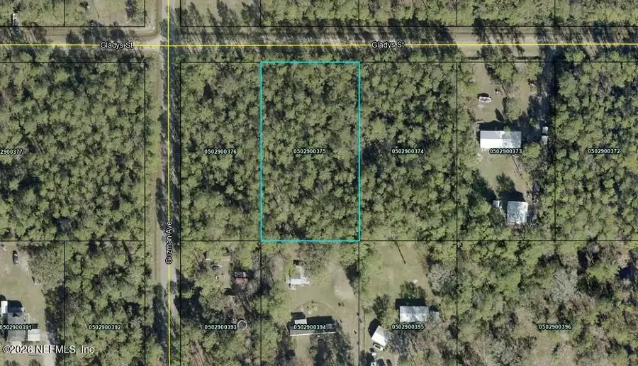 4265 Gladys Street, Hastings, FL 32145 - #2