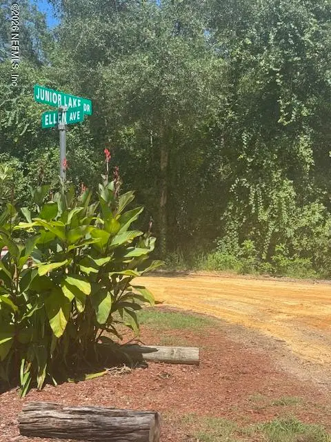 0 Junior Lake Dr & Ellen Ave, Interlachen, FL 32148 - #1