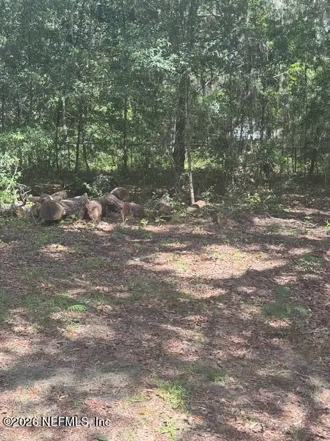 0 Junior Lake Dr & Ellen Ave, Interlachen, FL 32148 - #2