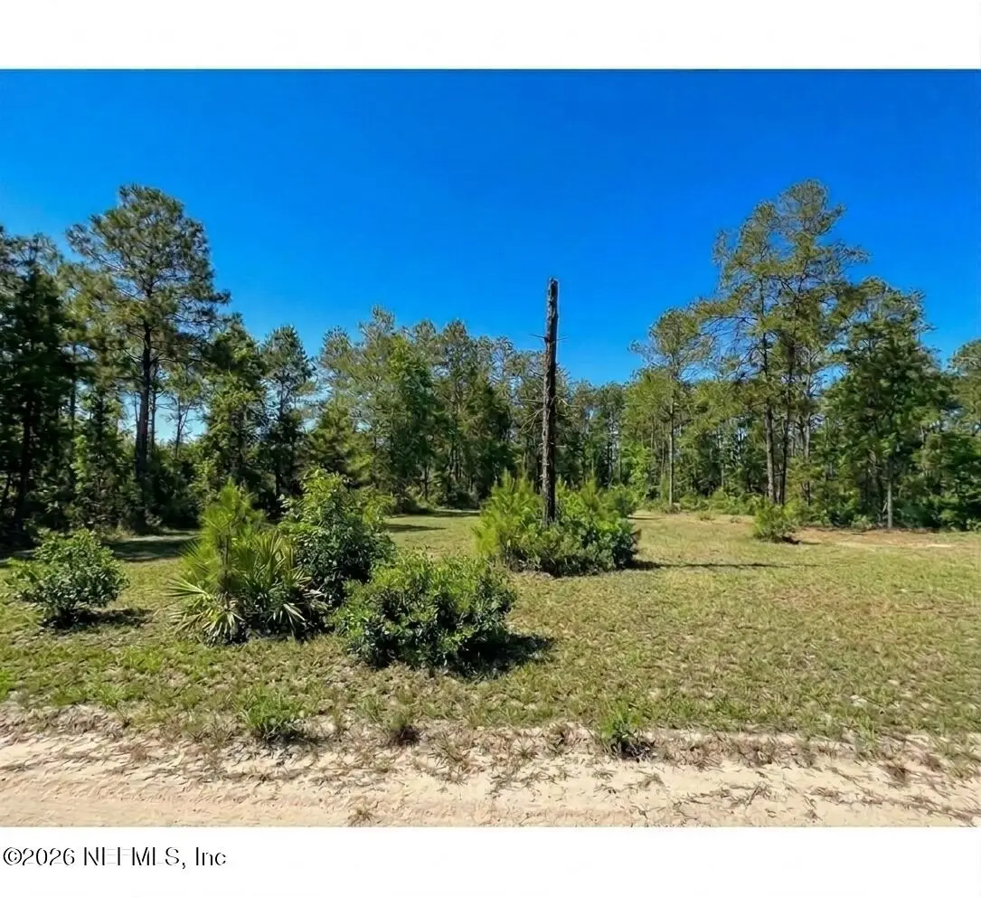 705 Hickory Nut Trail, Satsuma, FL 32189 - #1
