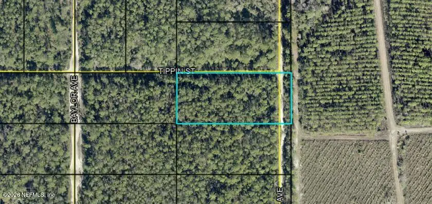 0 Amos, Hastings, FL 32145 - #1