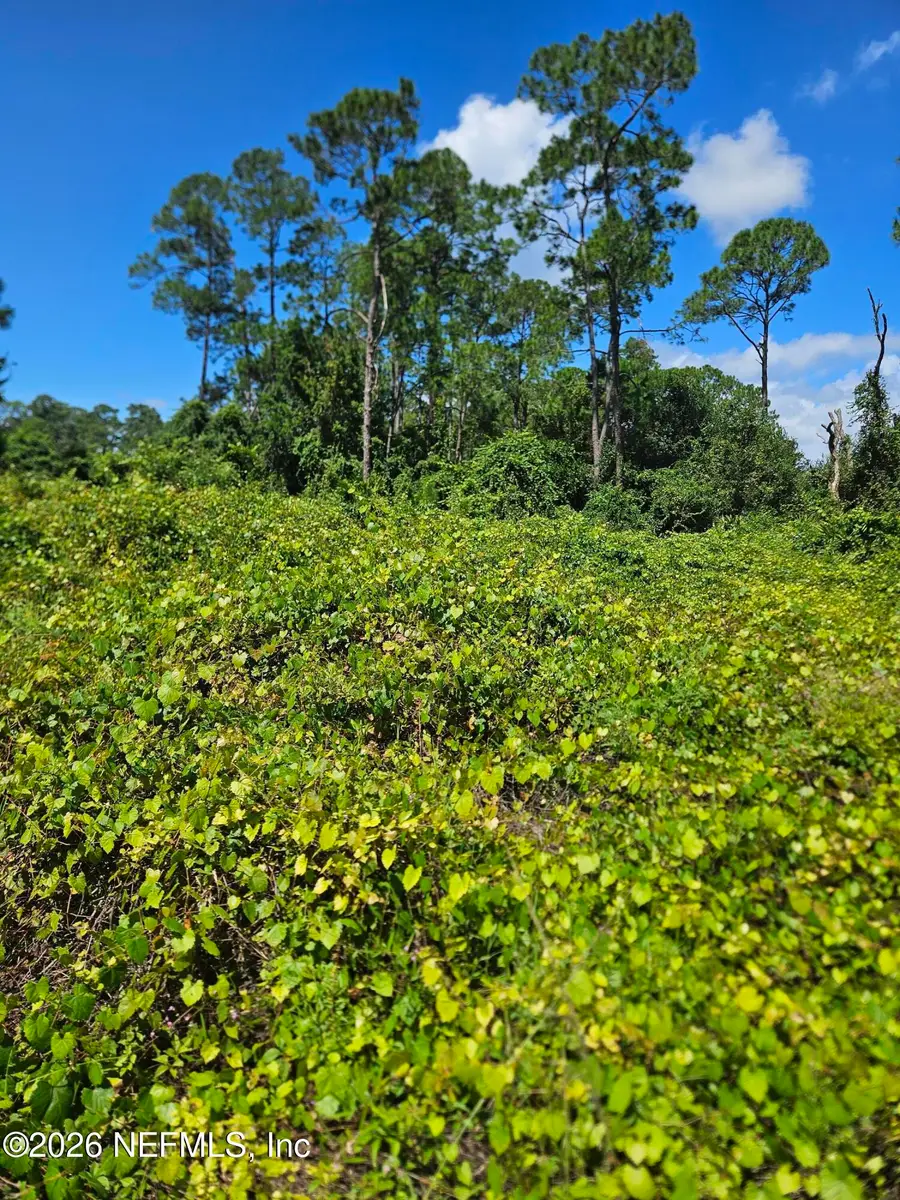 118 Moon Lake Drive, Crescent City, FL 32112 - #3