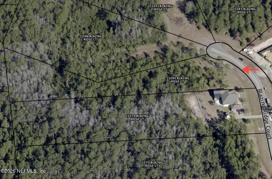 11080 Blazing Ridge Court, Jacksonville, FL 32219 - #2