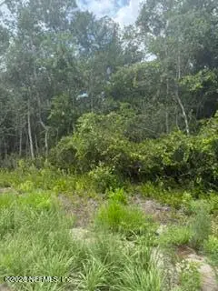 0 Range Line Road, Middleburg, FL 32068 - #2
