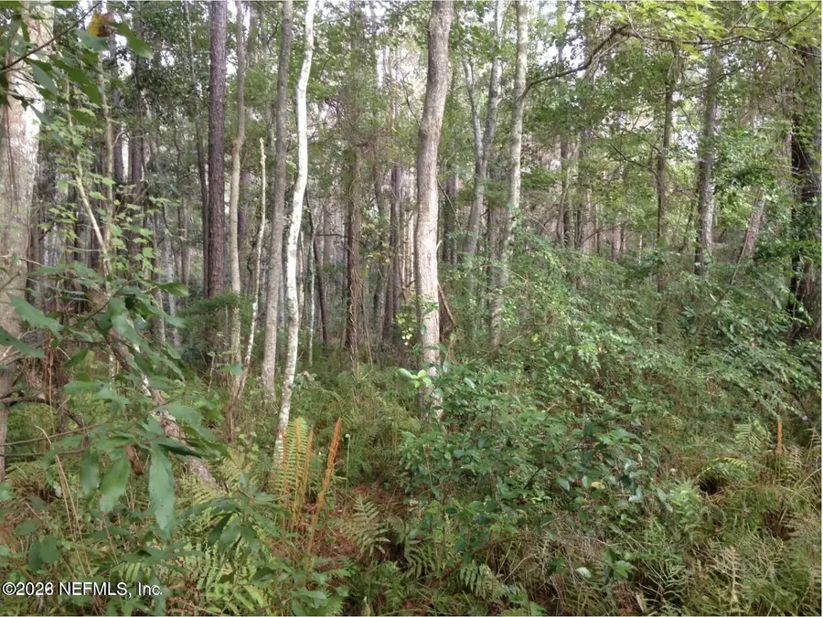 0 Carrol Road, Jacksonville, FL 32246 - #3