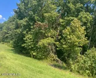 0 217 County Road, Middleburg, FL 32234 - #1