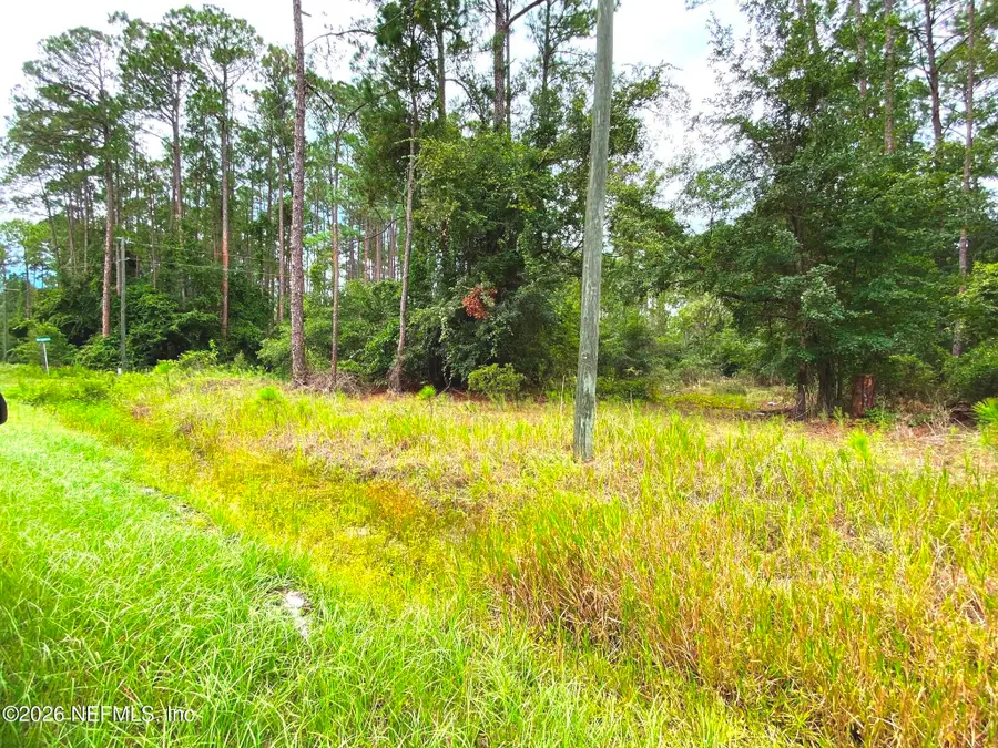 204 Paradise Boulevard, Georgetown, FL 32139 - #3