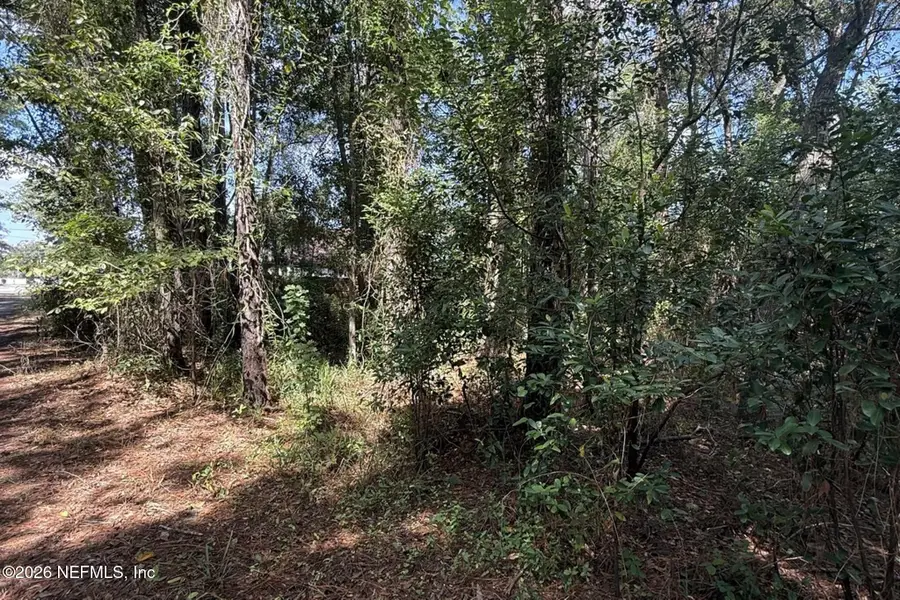 0 Dana Drive, Jacksonville, FL 32258 - #2
