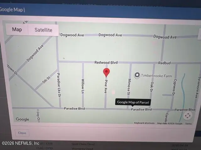 111 Pine Avenue, Georgetown, FL 32139 - #1