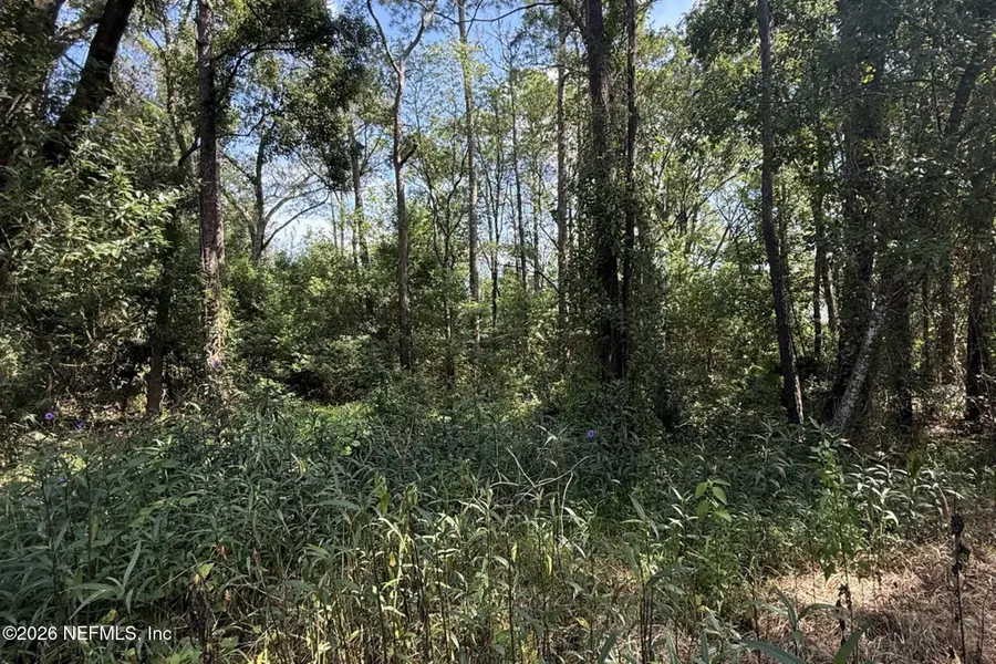 0 Dana Drive, Jacksonville, FL 32258 - #3