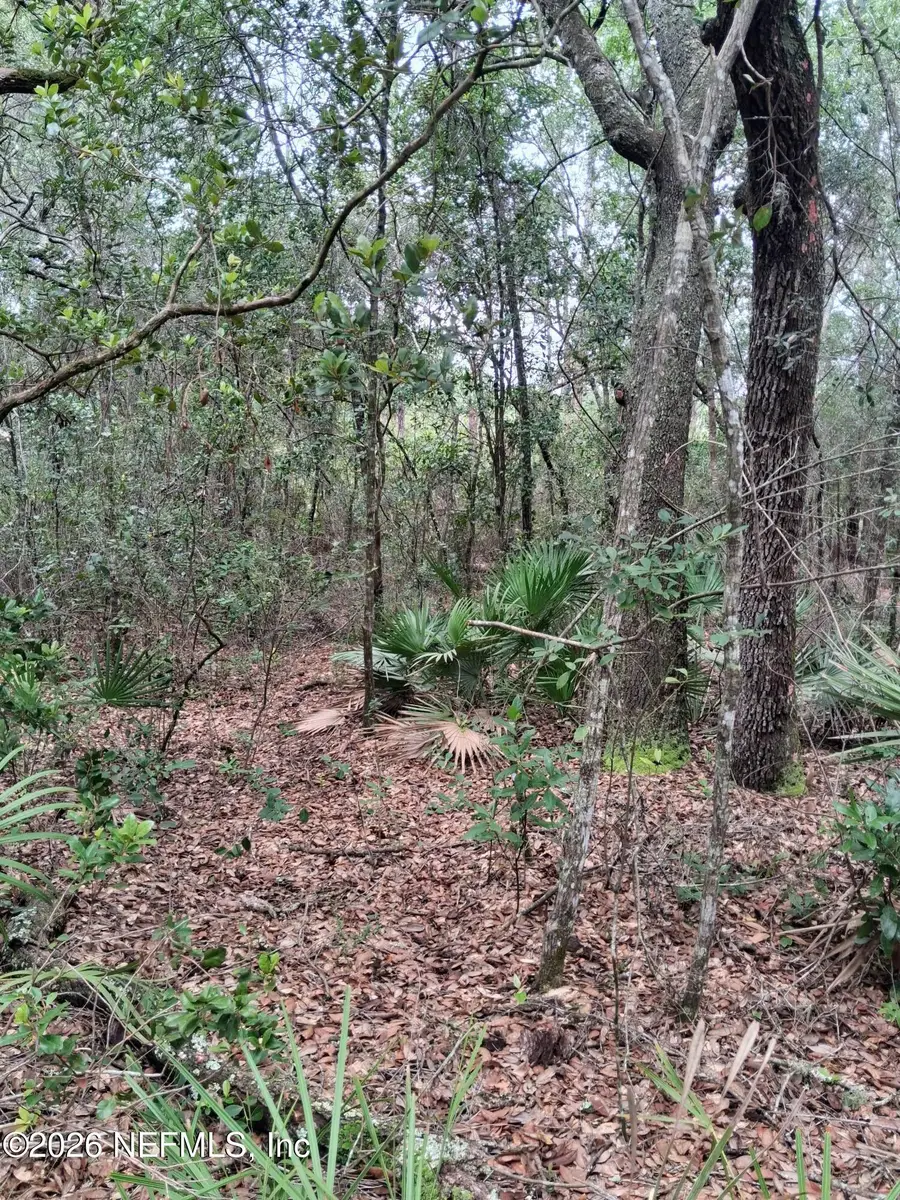 5210 Co Rd 214, Keystone Heights, FL 32656 - #2
