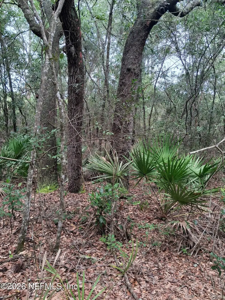 5210 Co Rd 214, Keystone Heights, FL 32656 - #3