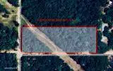 0 Suwannee Oaks Drive, Suwannee, FL 32071 - #1