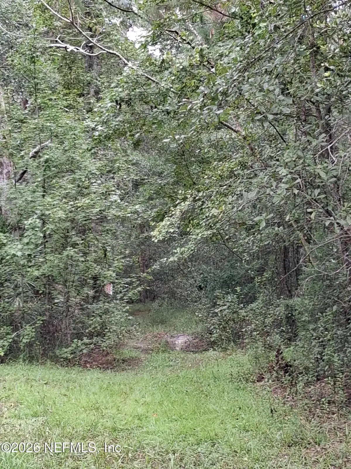 LOT 9 Skipper Road, Middleburg, FL 32068 - #1