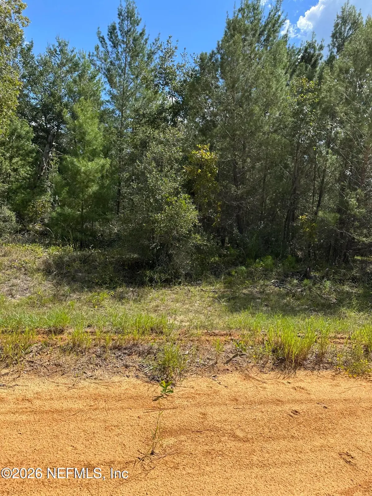 00 Gloria Avenue, Interlachen, FL 32148 - #1