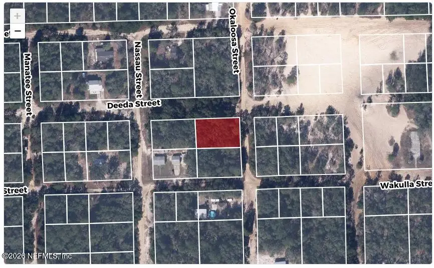 607 Deeda Street, Florahome, FL 32140 - #1