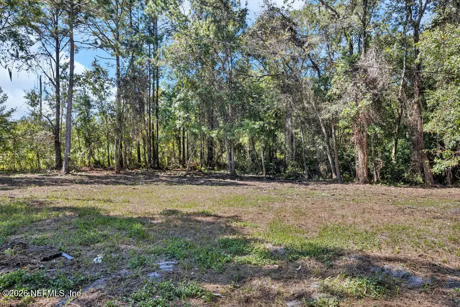 35 Orchid Avenue, Middleburg, FL 32068 - #2