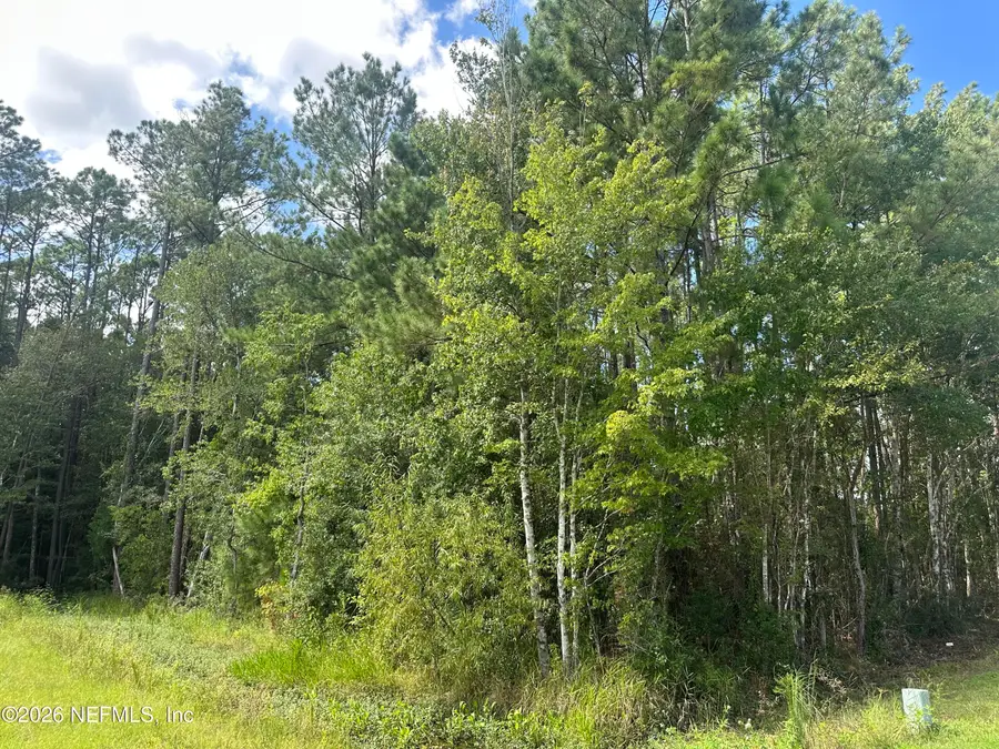 55354 Yellow Jacket Drive, Callahan, FL 32011 - #2