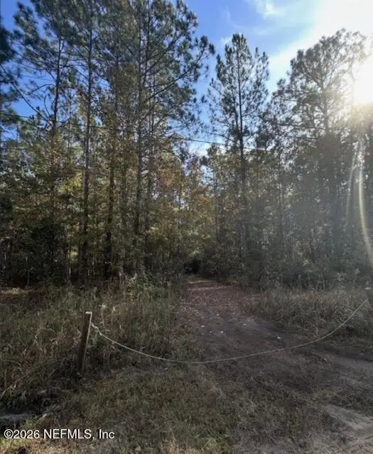00 Silver Moss Circle, Middleburg, FL 32068 - #2