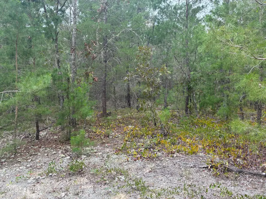 0240 SW 58th Avenue, Interlachen, FL 32148 - #3