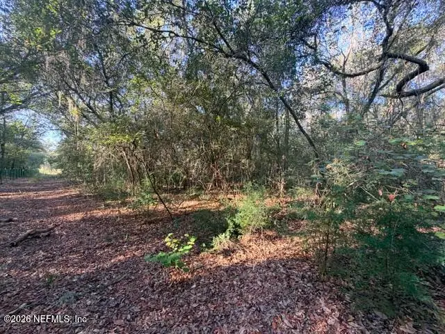 0 Bundy Lake Road, Keystone Heights, FL 32656 - #2