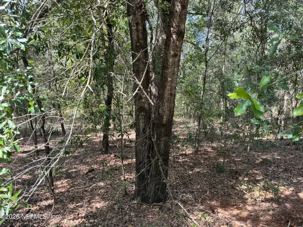 00 Rose Street, Interlachen, FL 32148