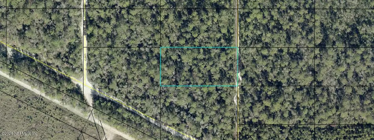 0 Luke Avenue, Hastings, FL 32145 - #1