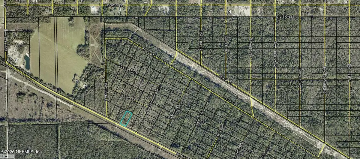 0 Potatoville Road, Hastings, FL 32145 - #1