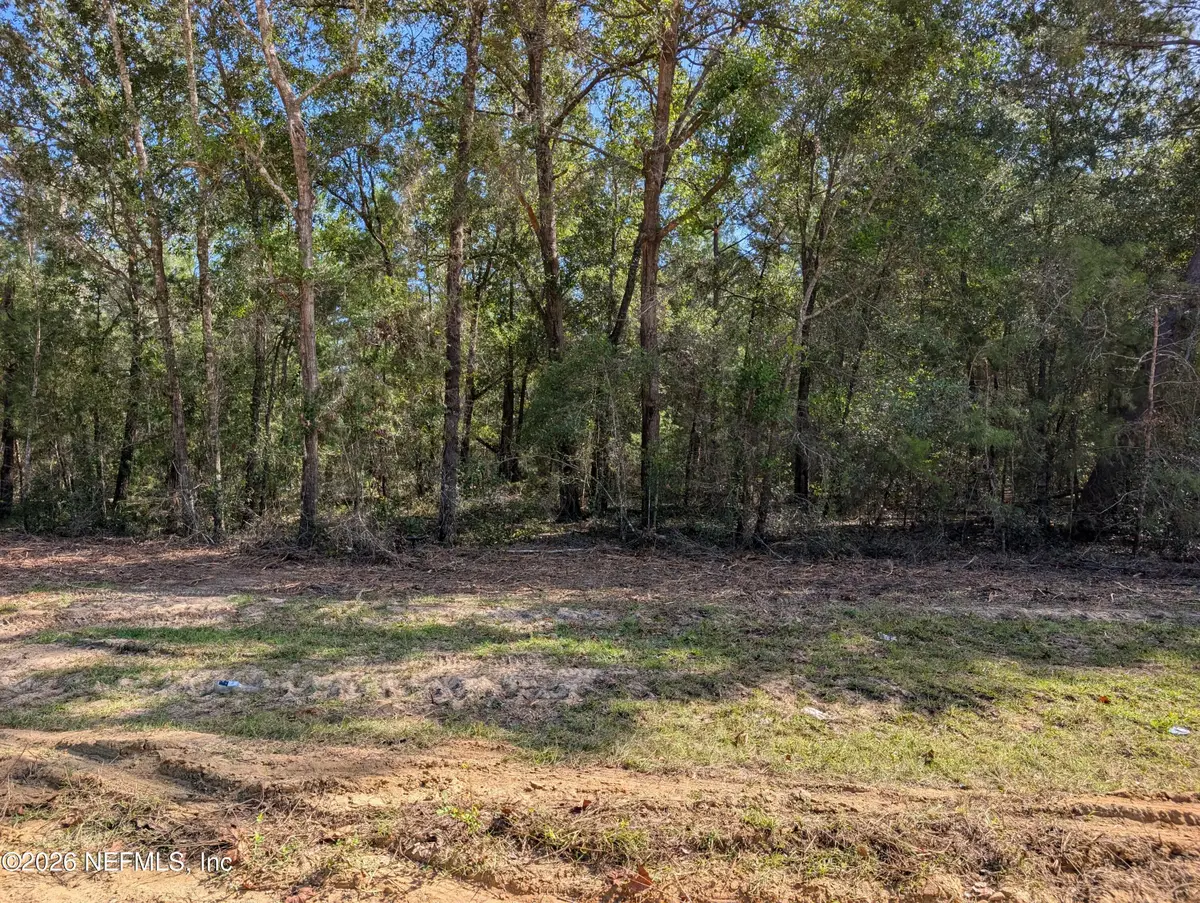 0 Cardinal Street, Interlachen, FL 32148 - #1