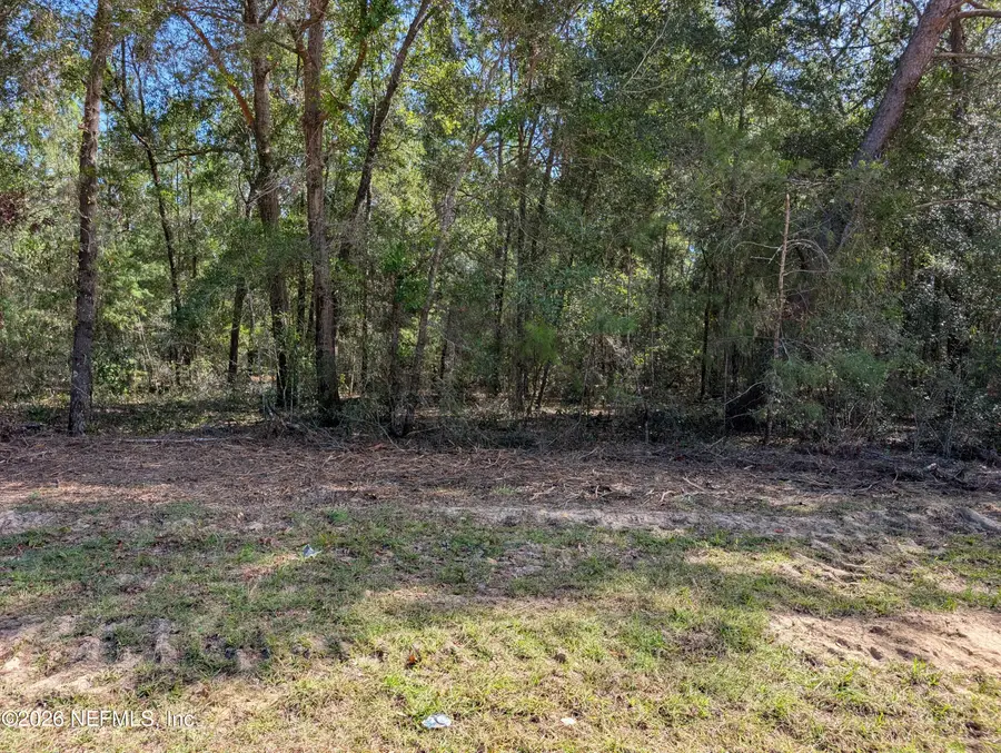0 Cardinal Street, Interlachen, FL 32148 - #2