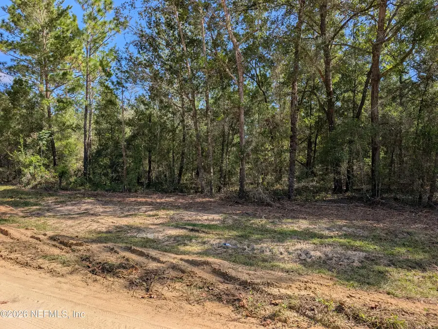 0 Cardinal Street, Interlachen, FL 32148 - #3