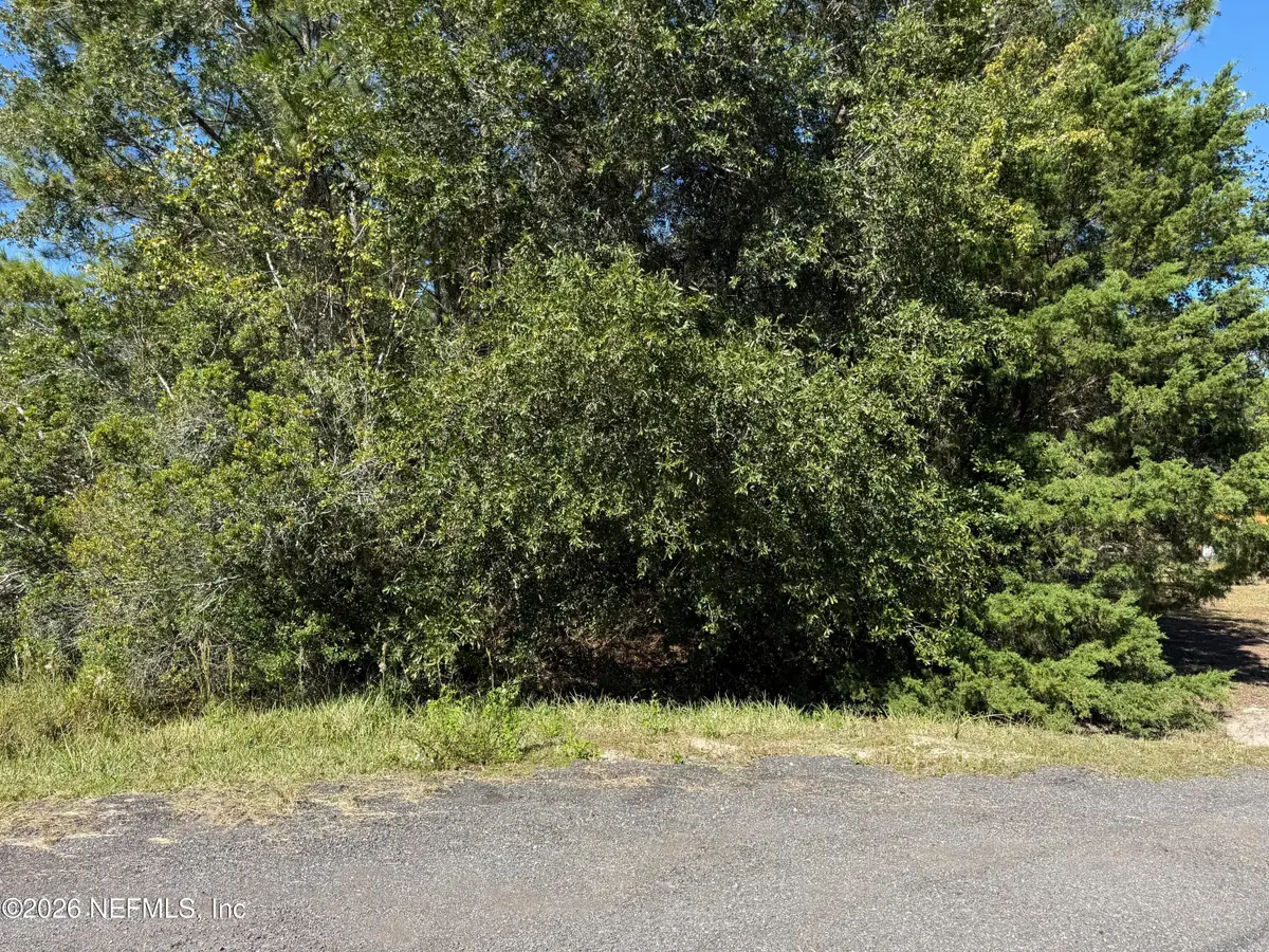 2310 Buckwheat Court, Middleburg, FL 32068 - #1
