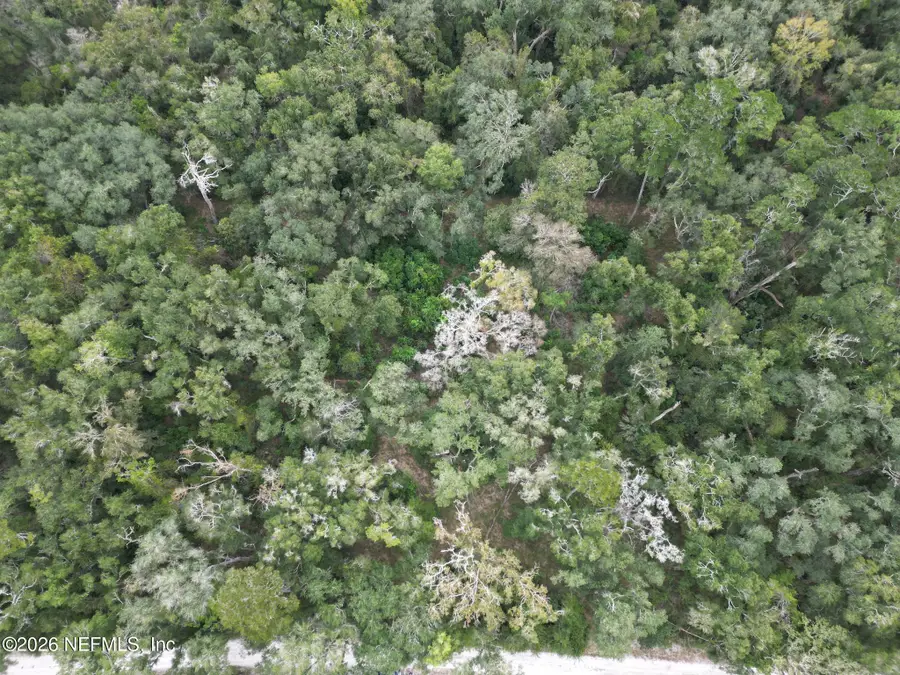 TBD 65th Pl C, Branford, FL 32008 - #3