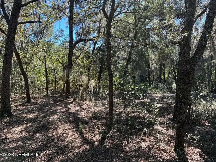 114 Kay Street, Interlachen, FL 32148 - #3