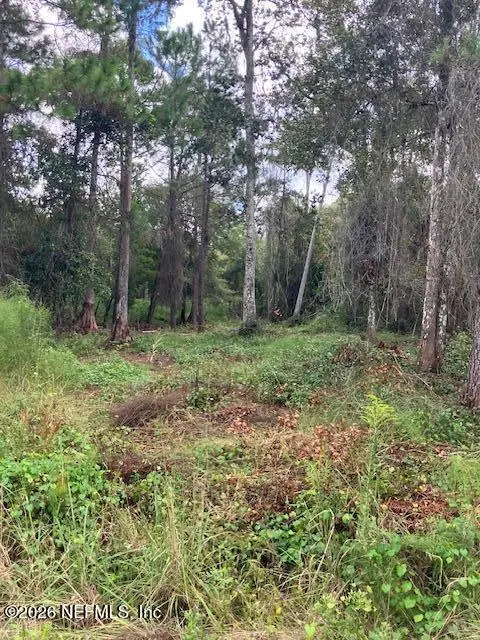 1881 Hazelnut Street, Bunnell, FL 32110