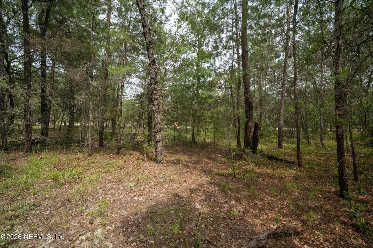 5501 Indian Trail, Keystone Heights, FL 32656 - #1