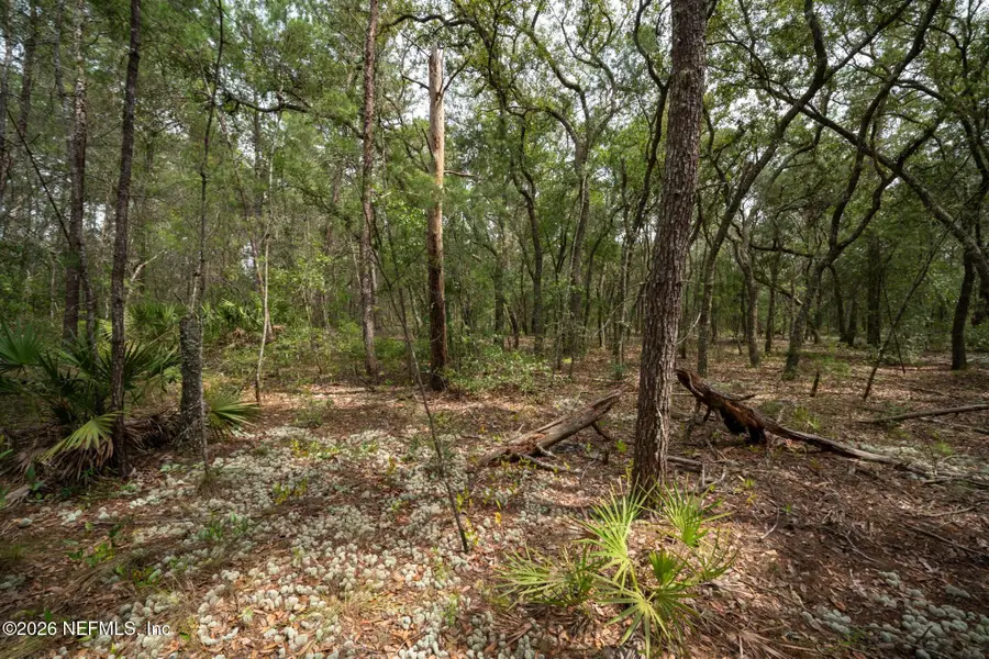 5501 Indian Trail, Keystone Heights, FL 32656 - #3