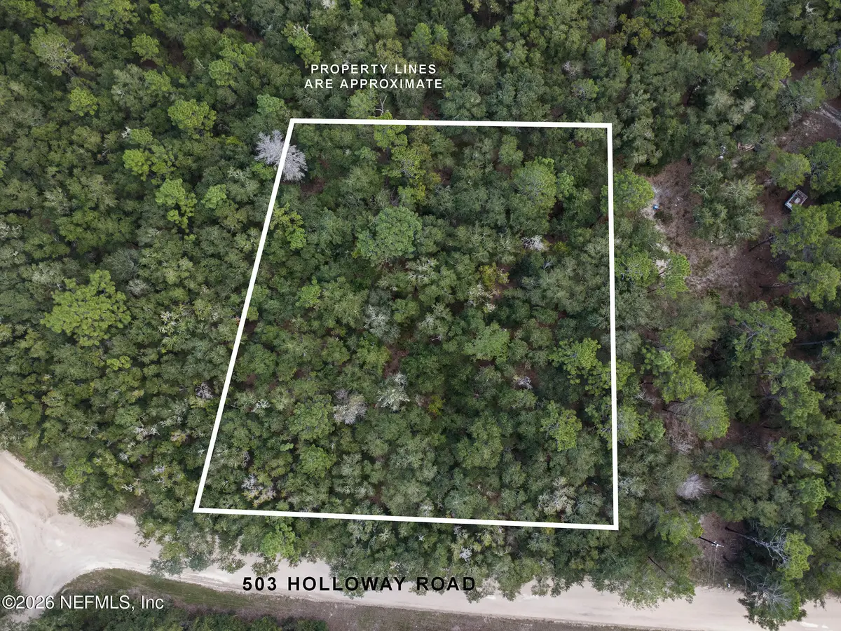 502 Holloway Road, Florahome, FL 32140 - #1