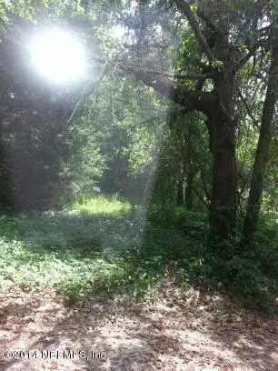 10695 Mc Laurin Road, Jacksonville, FL 32256 - Image #2